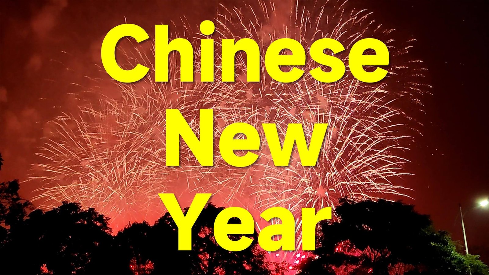 Chinese New Year _ Tradition, Celebration, History, Culture Banner